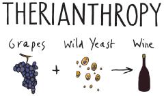 Therianthropy